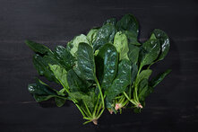 Organik Ispanak 500 g