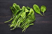 Bebek Ispanak (Paket) 70 g