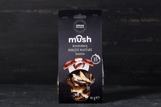 Kuru Bolet (Porçini) Mantarı