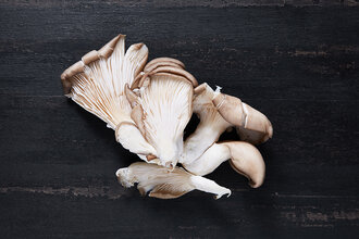 İstiridye Mantarı 200 g