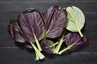 Kırmızı Pak Choi (Paket) 40 g