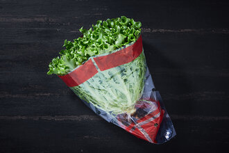 Kıvırcık Marul Demet