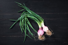 Organik Taze Soğan Demet