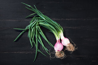 Organik Taze Soğan Demet