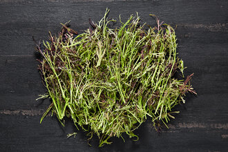 Kırmızı Mizuna (Paket) 40 g