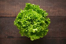 Salata Kıvırcık Adet görseli.