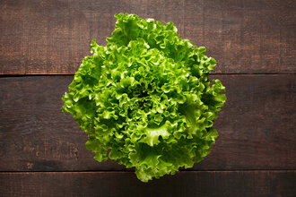 Salata Kıvırcık Adet