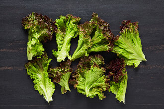 Lollo Rosso (Paket) 75 g