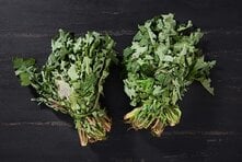 Organik Radika Demet