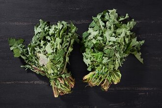 Organik Radika Demet