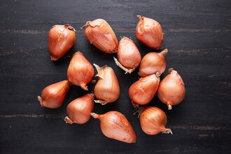 Organik Karacabey Soğan 2 kg