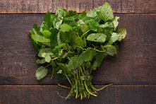 Organik Melisa Demet