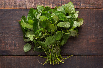 Organik Melisa Demet