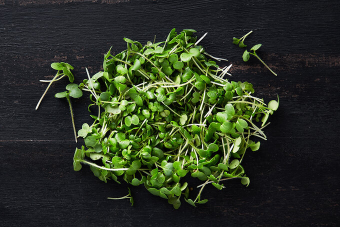 Hardal Mikro Yeşillik 25 g