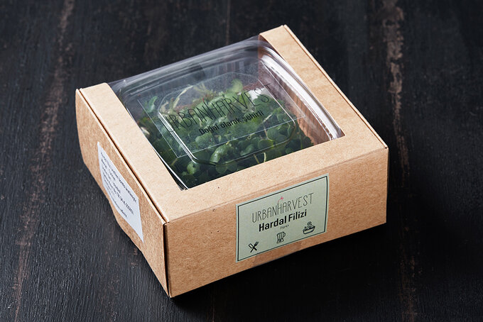 Hardal Mikro Yeşillik 25 g