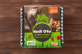 Eden Zirai Kedi Otu