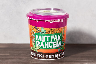 Fesleğen Yetiştirme Seti