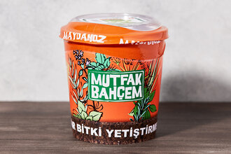 Maydanoz Yetiştirme Seti