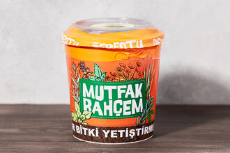 Dereotu Yetiştirme Seti