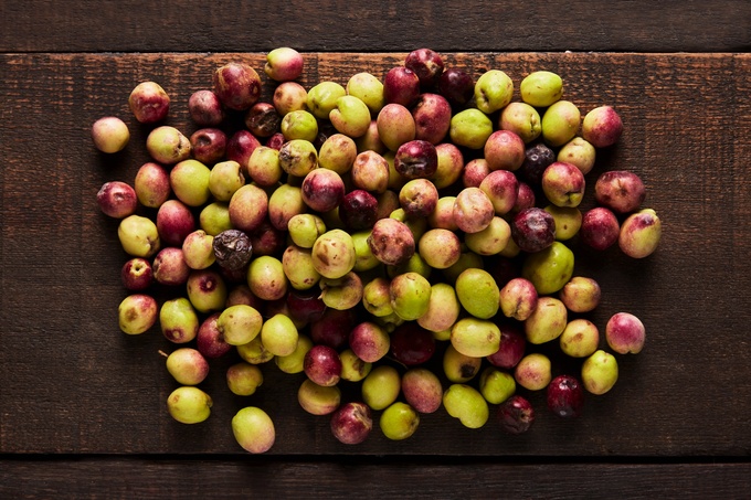 Organik Zeytin 250 g