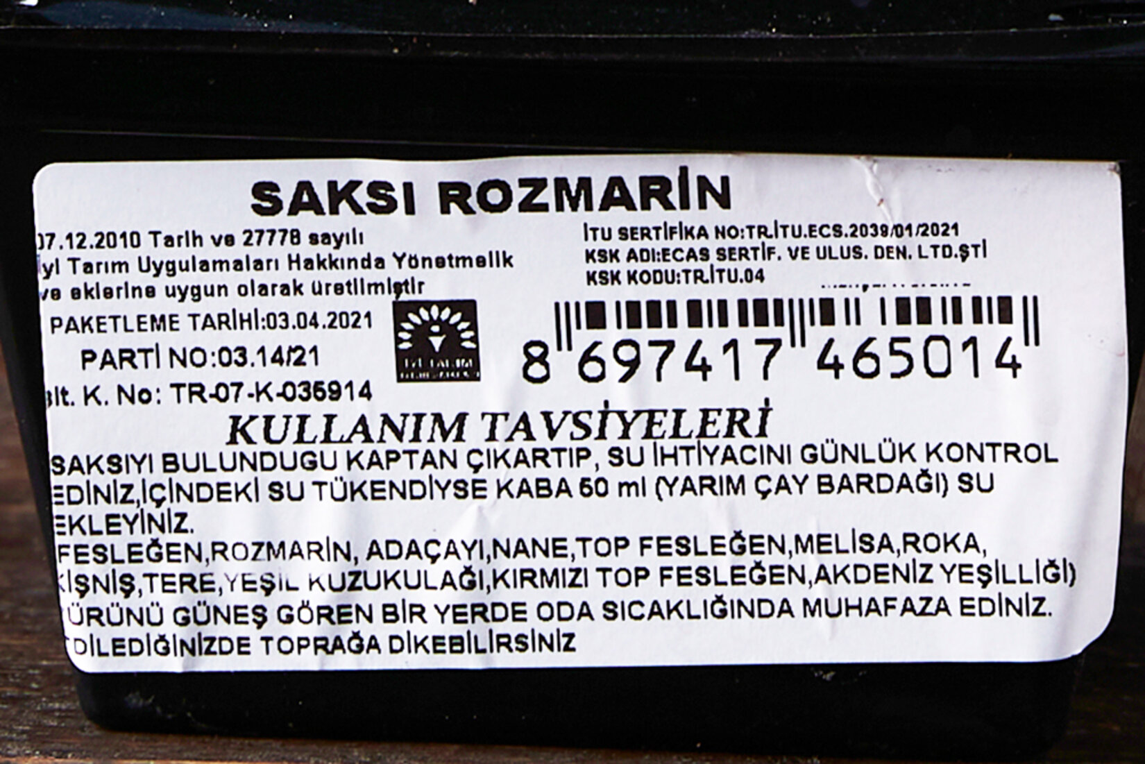 Saksıda Biberiye Adet | Tazedirekt