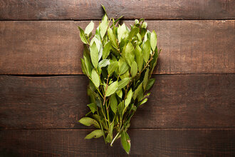 Taze Defne Yaprağı Demet