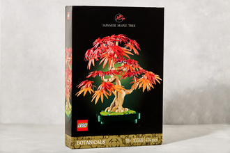 Lego Botanical Japon Kırmızı Akçaağaç Bonsai 18+ Yaş 474 Parça