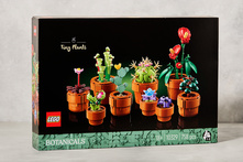 Lego Botanical Minik Bitkiler 18+ Yaş