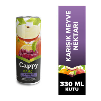 Cappy Karışık (33 cl.) görseli