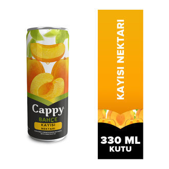 Cappy Kayısı (33 cl.) görseli