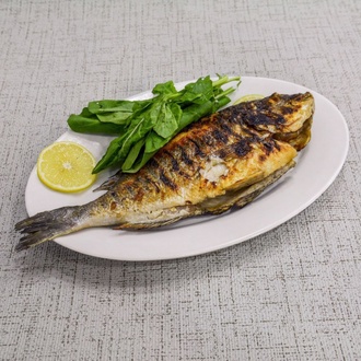 Çipura Tava görseli