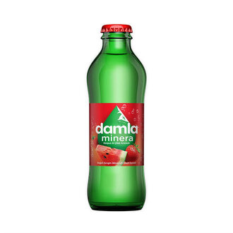 Meyveli Soda (20 cl.) görseli