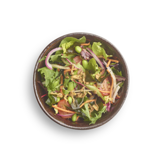 109. Raw Salad görseli