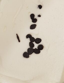 Damla Sakızlı Dondurma (1 Top) görseli