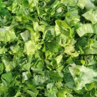 Yeşil Salata görseli