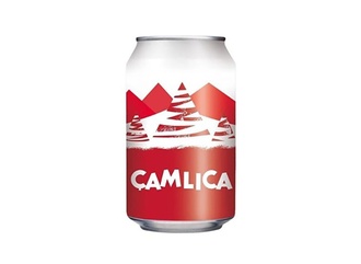 Çamlıca Gazoz (33 Cl.) görseli