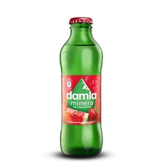 Meyveli Soda (20 cl.) görseli