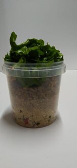 Tahıllı Salata görseli