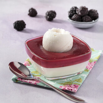 Alaçatı Orman Meyveli Muhallebi görseli