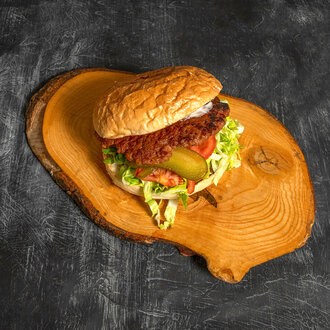 Hamburger görseli