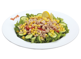 Ton Balıklı Salata görseli