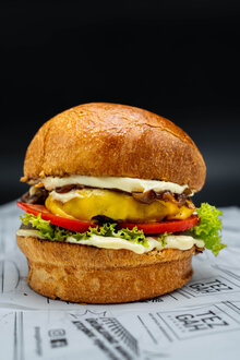 Smiseny Cheese Burger görseli