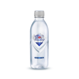 Uludağ Su (400 Ml) görseli