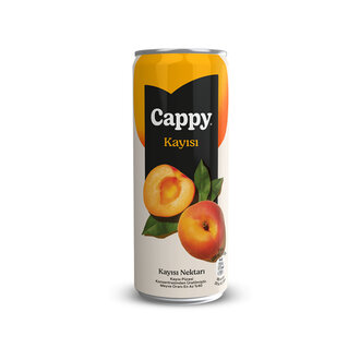 Cappy Kayısı (33 Cl) görseli
