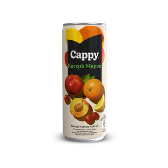 Cappy Karışık (33 Cl) görseli