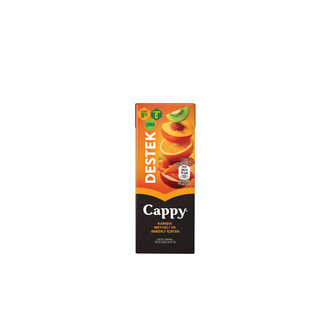 Cappy Kayısı (200 Ml) görseli