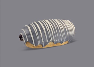 Böğürtlenli Ekler görseli