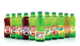 Meyveli Soda (20 Cl.) görseli