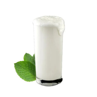 Naneli Köy Ayranı (300 Ml) görseli