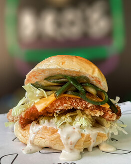 Oishi Burger görseli